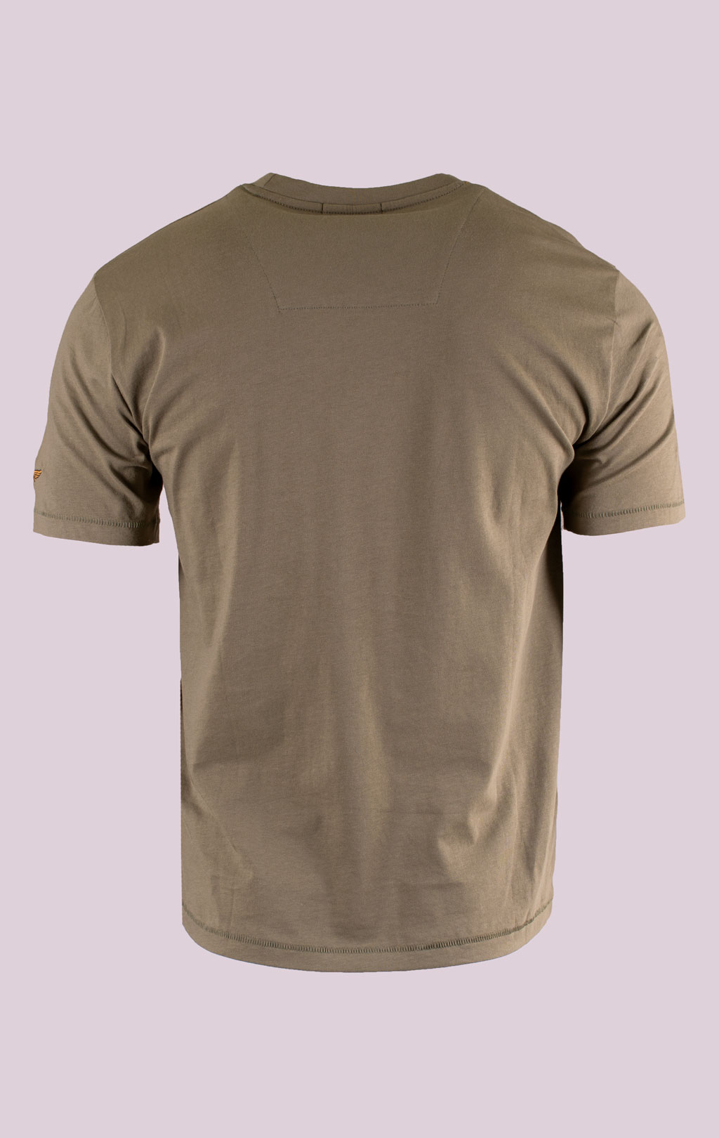 Футболка AERONAUTICA MILITARE big size SS 26/BD lichen green (TS 2538) 