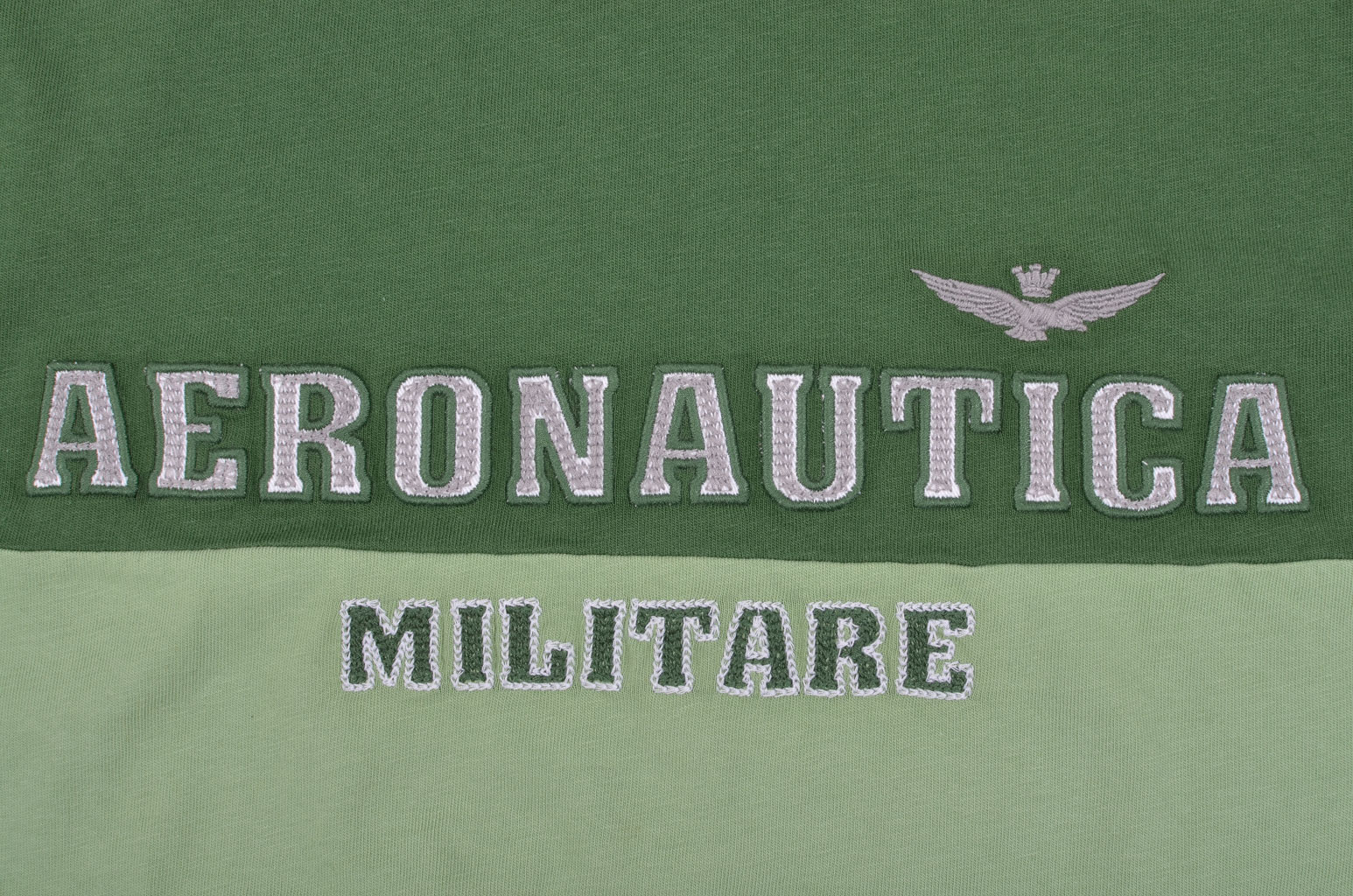 Футболка AERONAUTICA MILITARE verde stone (TS 861) 