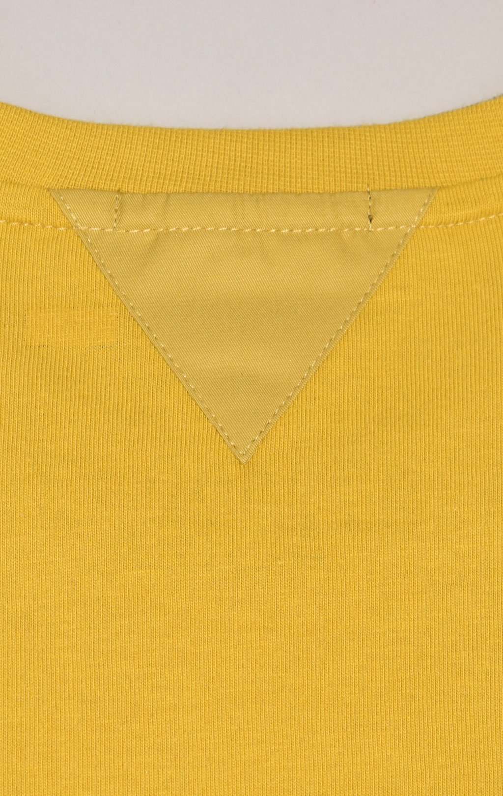 Лонгслив AERONAUTICA MILITARE FW 23/24/TR yellow (TS 2132) 