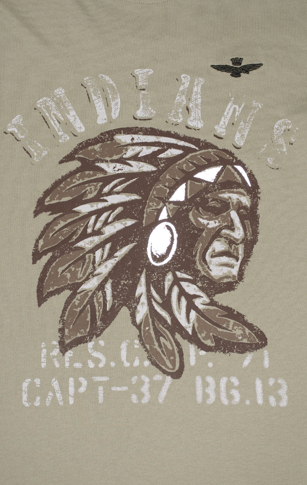 Футболка AERONAUTICA MILITARE INDIAN PRINT SS 24/BD sage green (TS 2214) 