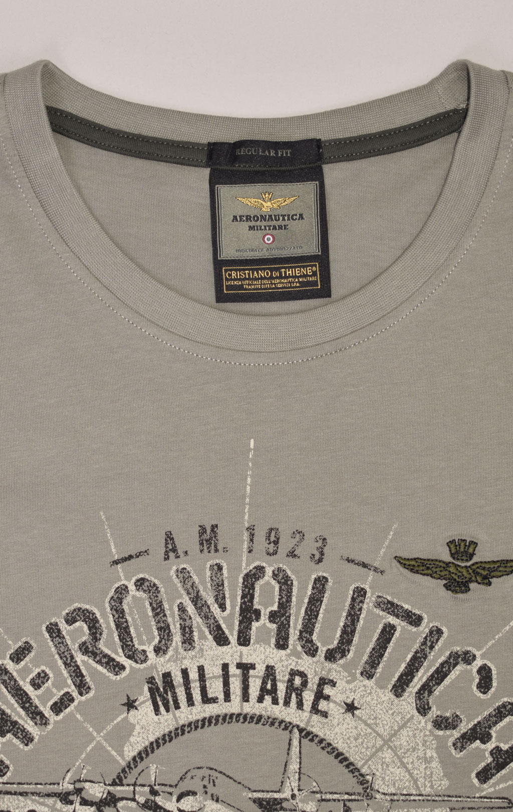 Футболка AERONAUTICA MILITARE big size ANTARCTICA FW 23/24/BD light green (TS 2136) 