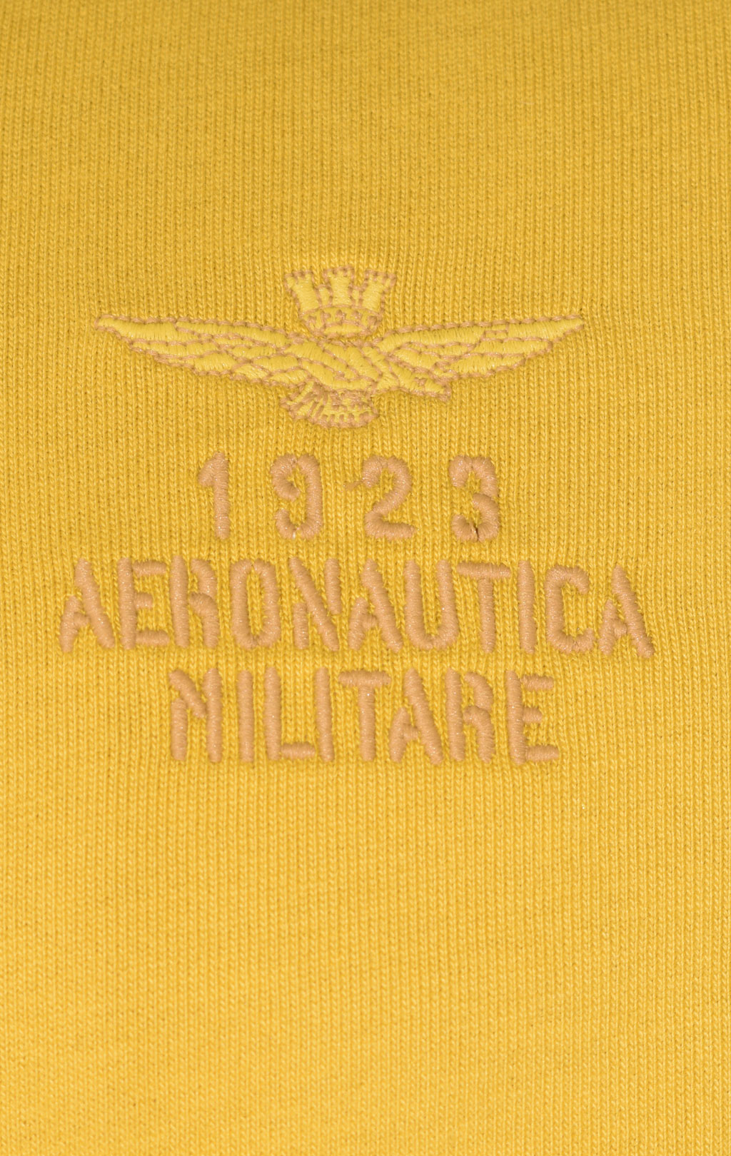 Толстовка с капюшоном AERONAUTICA MILITARE FW 23/24/TR yellow (FE 1805) 