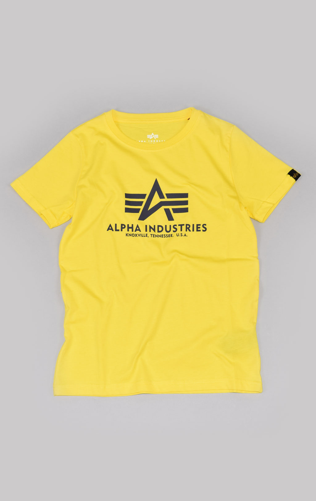 Детская футболка ALPHA INDUSTRIES BASIC T empire yellow 