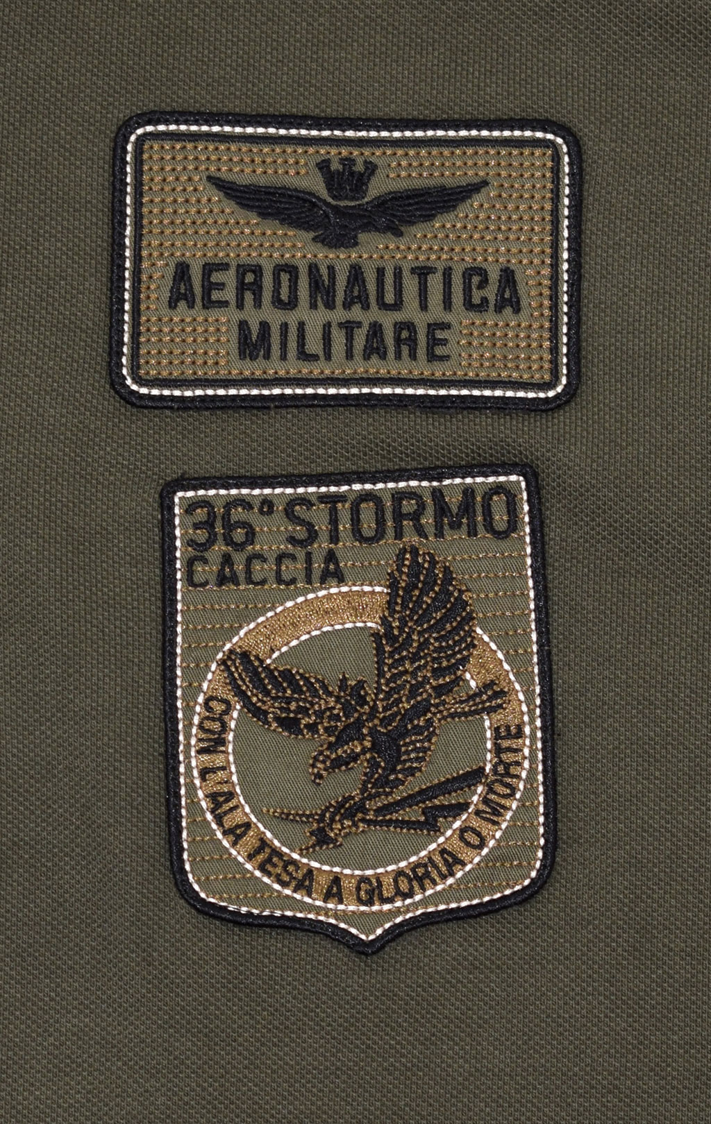 Футболка-поло AERONAUTICA MILITARE SS 21/TR verde scuro (PO 1538) 