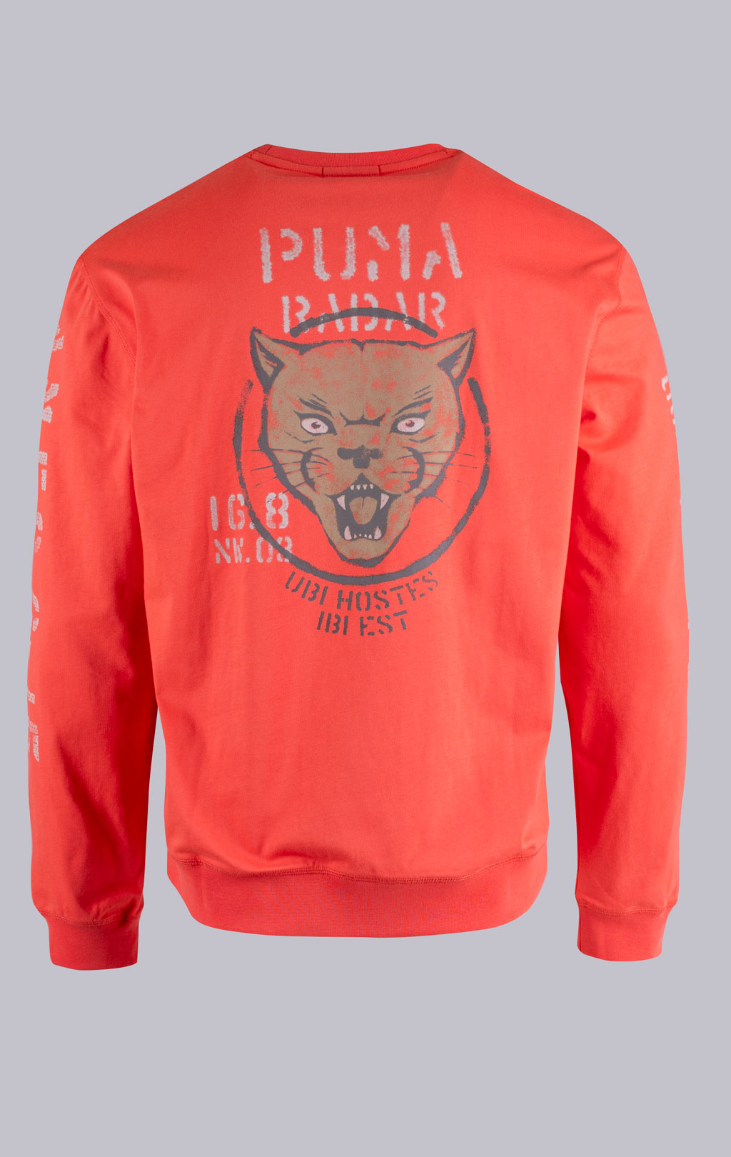 Свитшот AERONAUTICA MILITARE SS 26/TR paprika (FE 2099) 