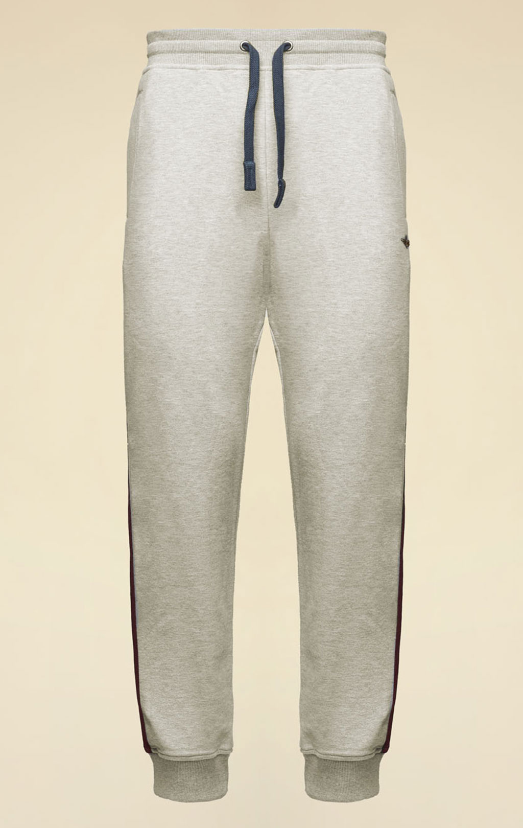 Брюки спортивные AERONAUTICA MILITARE FW 25/26/TR grigio melange (PF 1005) 