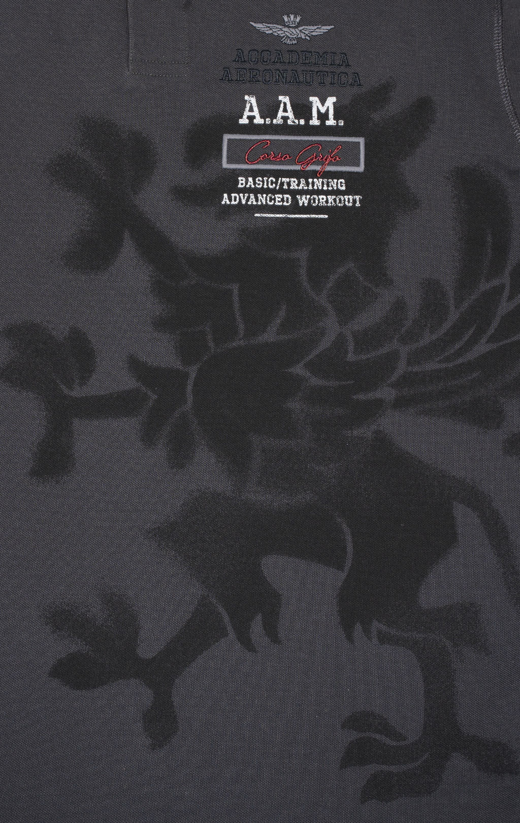 Футболка-поло AERONAUTICA MILITARE GRIFO PRINT SS 24 m/TR anthracite grey (PO 1753) 