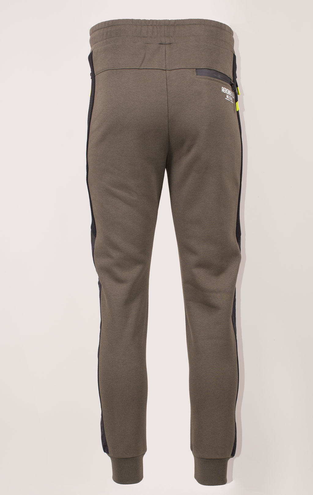 Брюки спортивные AERONAUTICA MILITARE FW 24/25/IT dark musk (PF 949) 