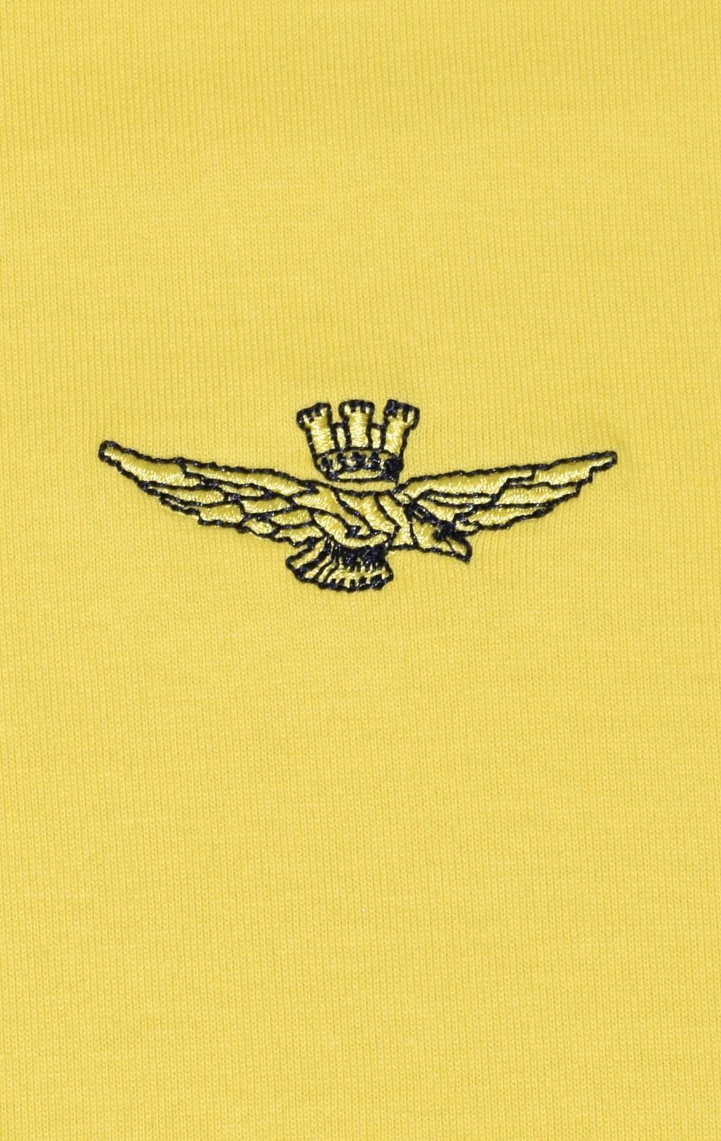 Футболка AERONAUTICA MILITARE SS 23/BD giallo (TS 2065) 
