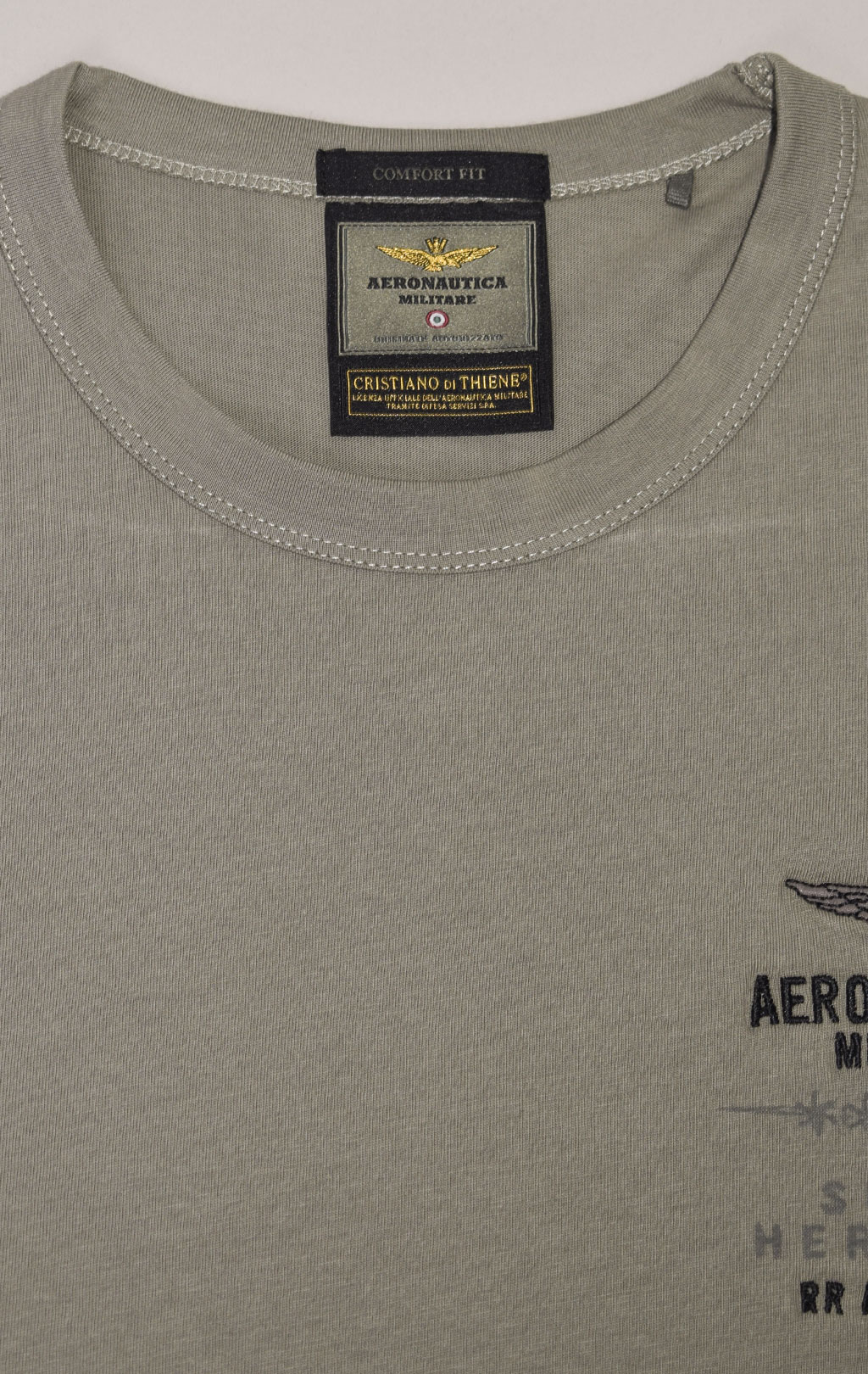 Футболка AERONAUTICA MILITARE FW 23/24/BD light green (TS 2135)