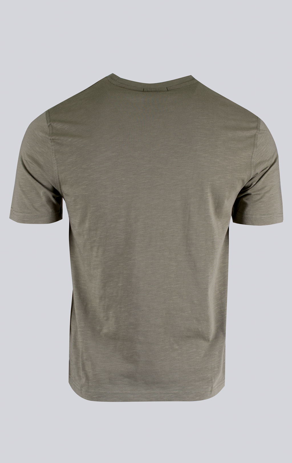 Футболка AERONAUTICA MILITARE big size SS 26/BD lichen green (TS 2524) 