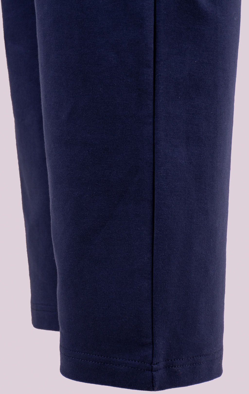 Брюки спортивные AERONAUTICA MILITARE SS 26/BD blue navy (PF 1025) 