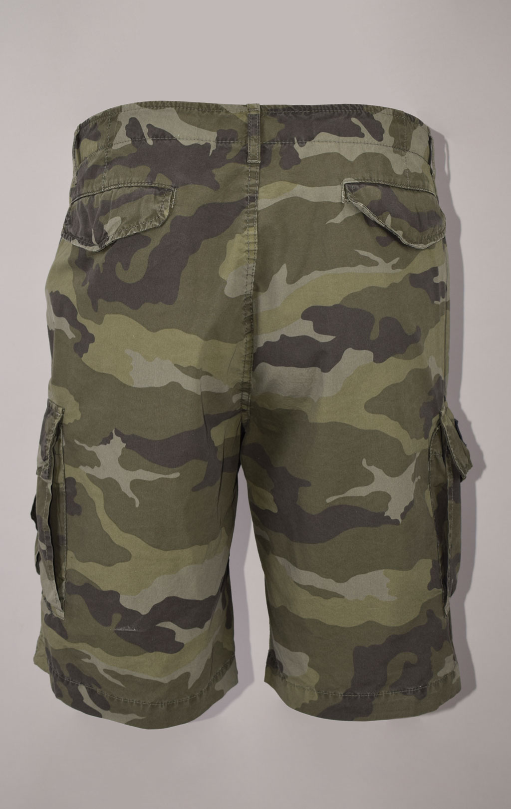 Шорты AERONAUTICA MILITARE big size SS 23/AL camouflage pilot (BE 178) 