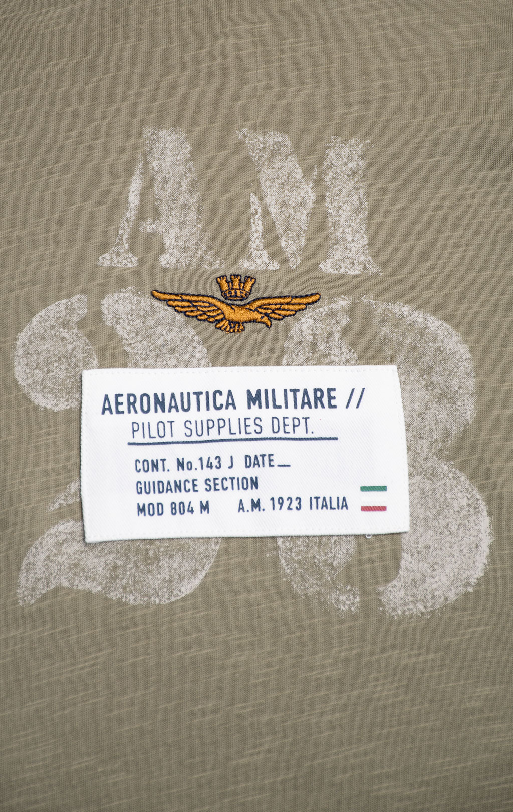 Футболка AERONAUTICA MILITARE big size SS 26/BD lichen green (TS 2524) 