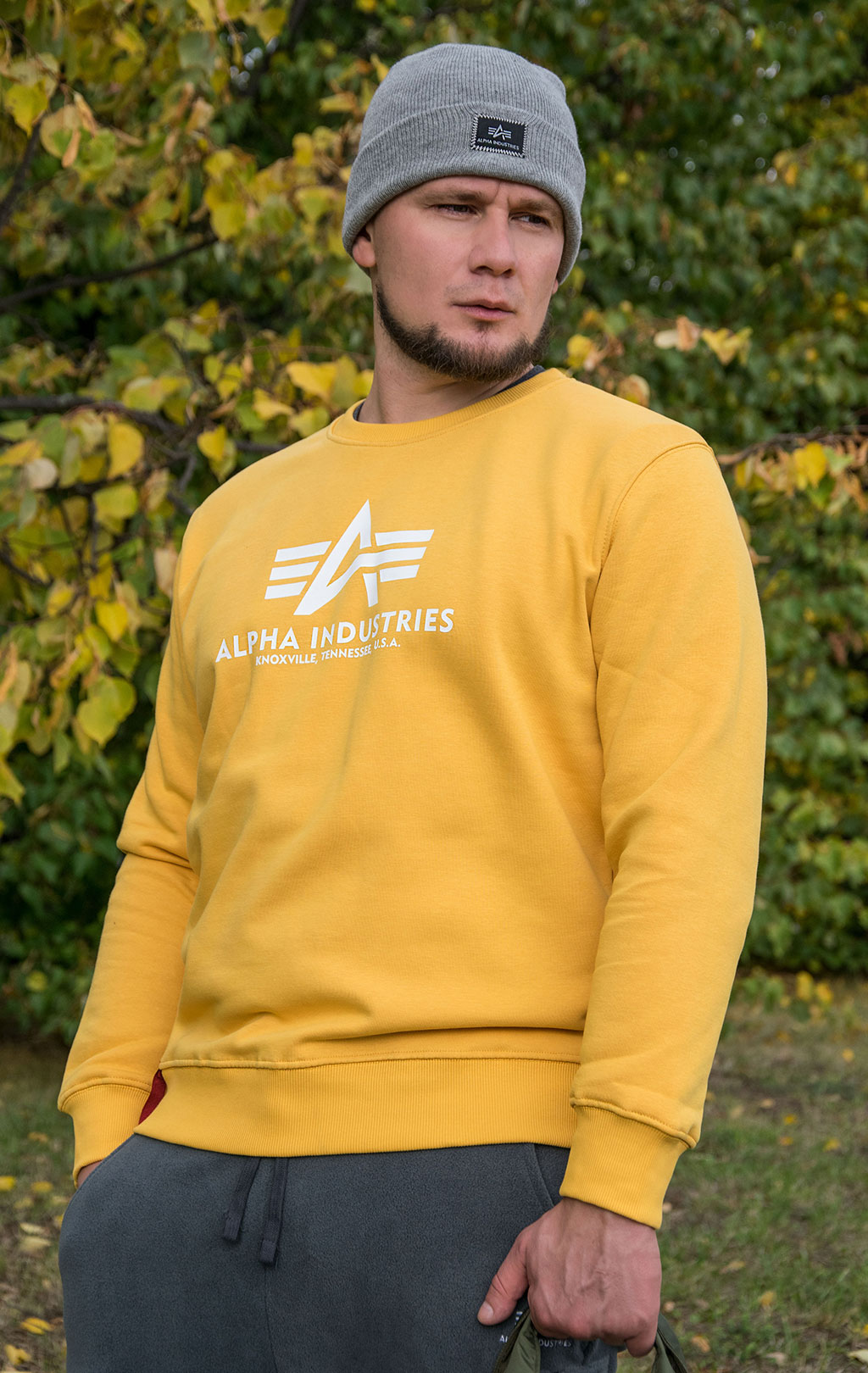 Свитшот ALPHA INDUSTRIES BASIC SWEATER solar yellow 