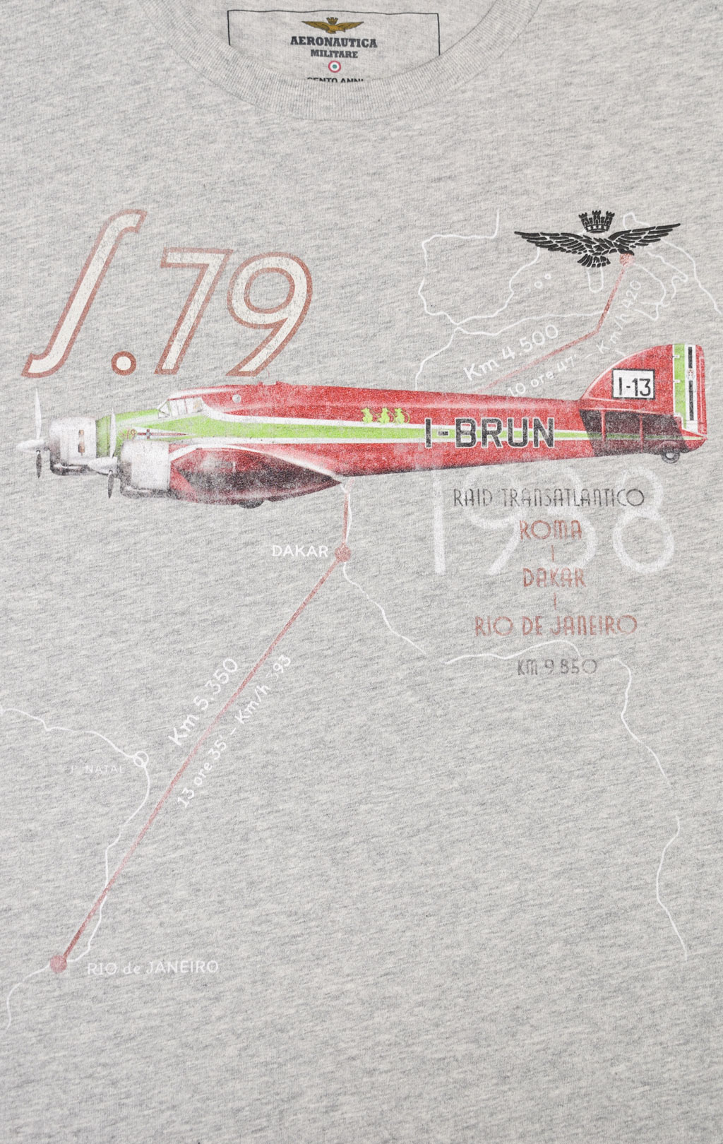 Футболка AERONAUTICA MILITARE SS 23/IT юбилейная в подарочной упаковке grigio melange (TS 2125) 