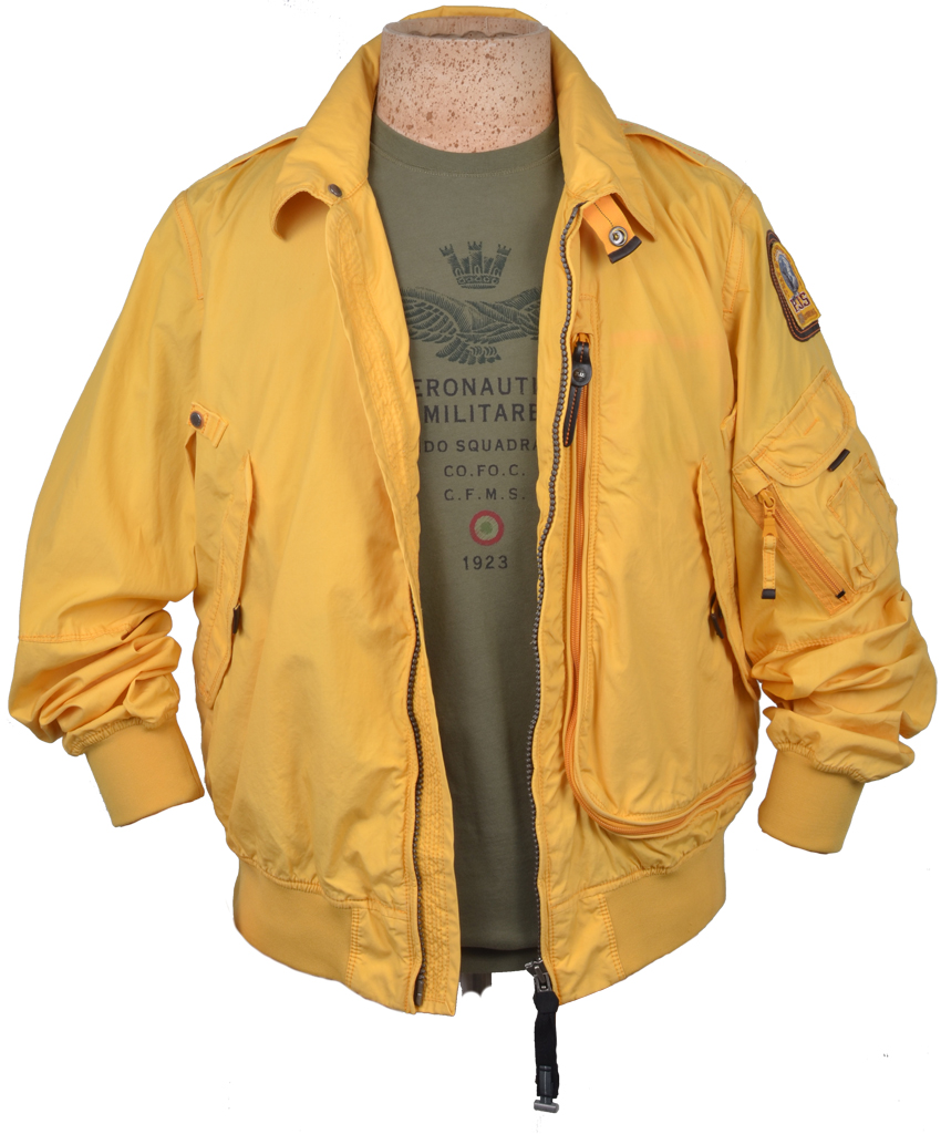 Футболка AERONAUTICA MILITARE verde avocado (TS1220)
