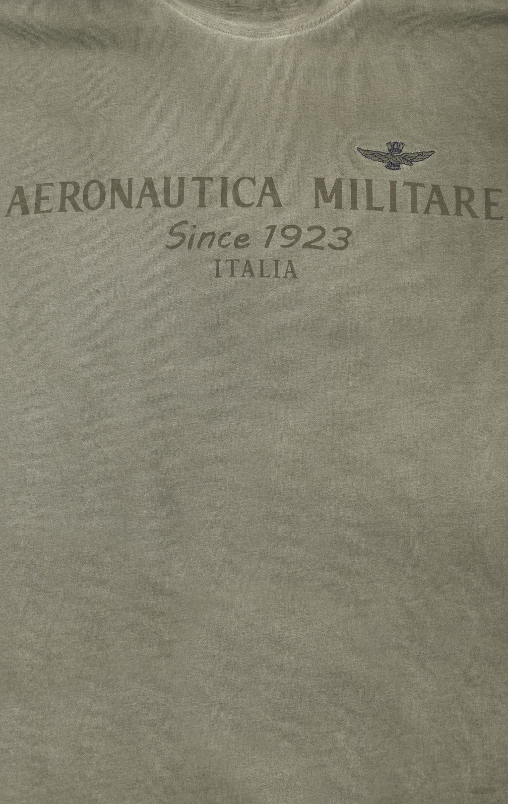 Футболка AERONAUTICA MILITARE SS 23/IN verde (TS 2073) 