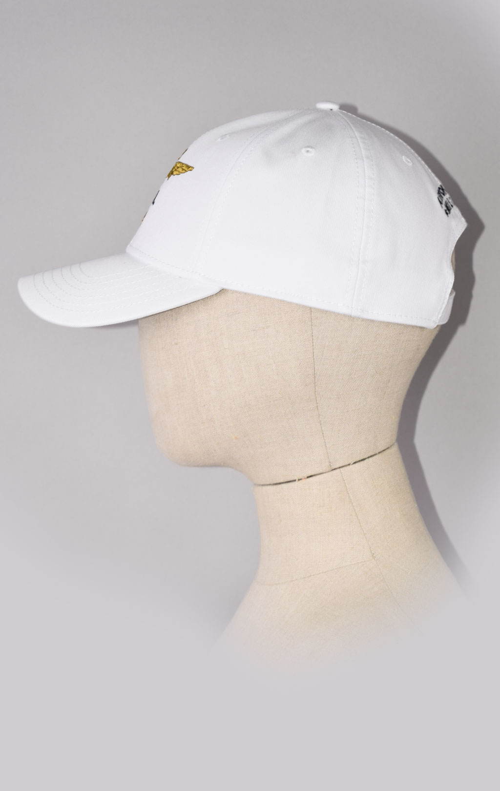 Бейсболка AERONAUTICA MILITARE SS 22/CN off white (HA 1100)