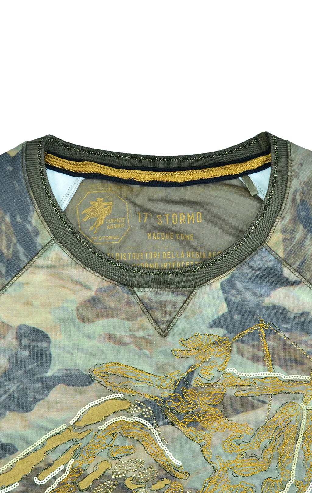 Женский свитшот AERONAUTICA MILITARE camouflage beige (FE 1224) 