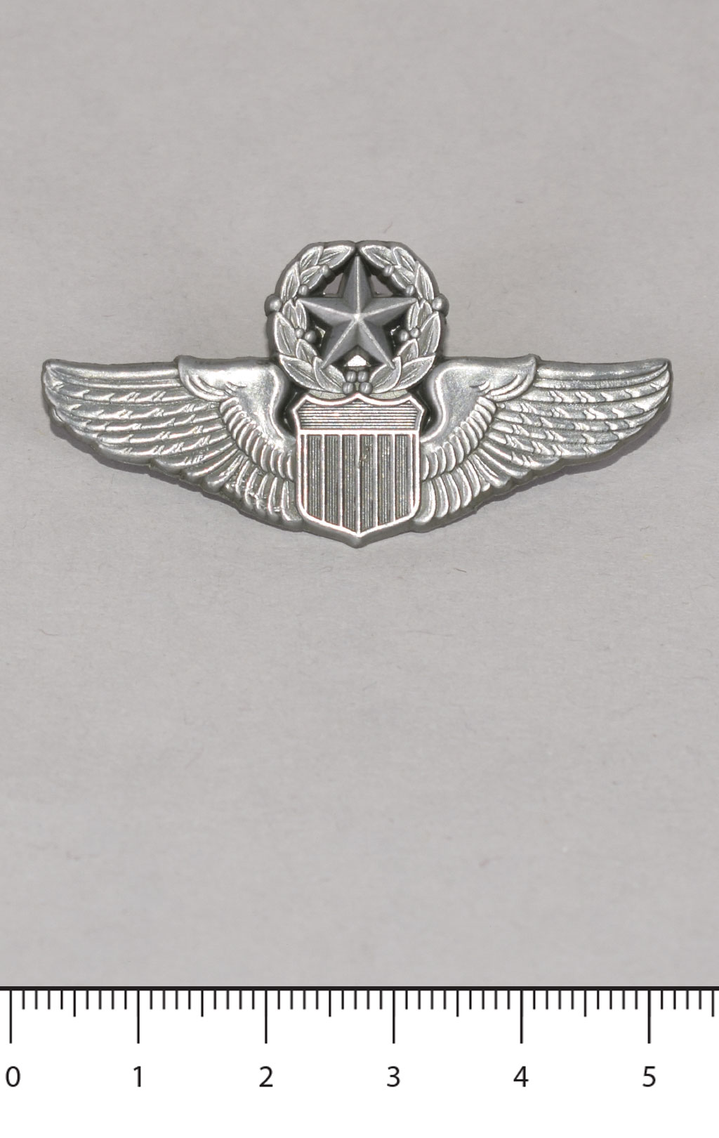 Знак нагрудный MASTER PILOT silver (P16541) США
