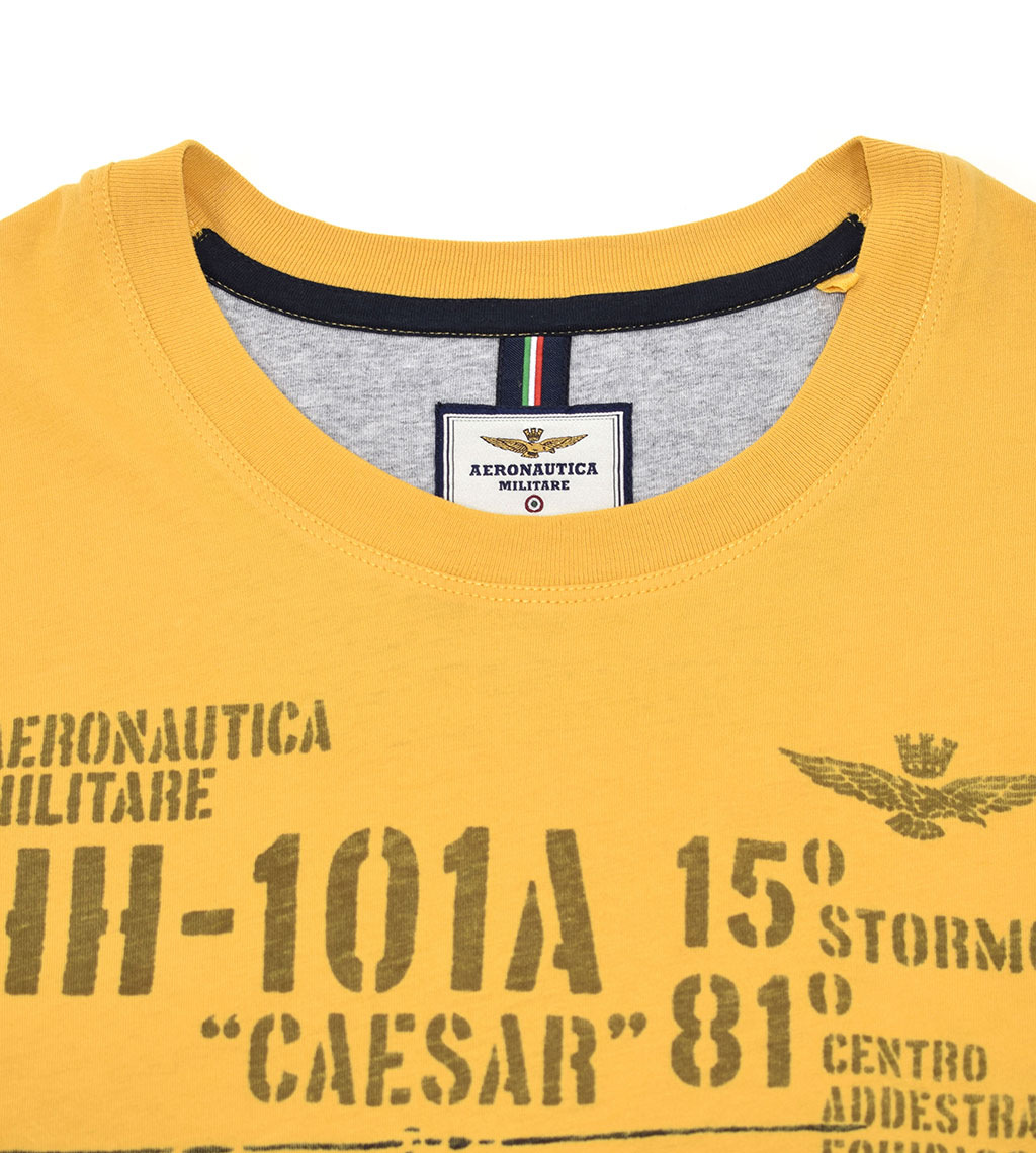 Футболка AERONAUTICA MILITARE SS 20/IN giallo (TS 1707) 