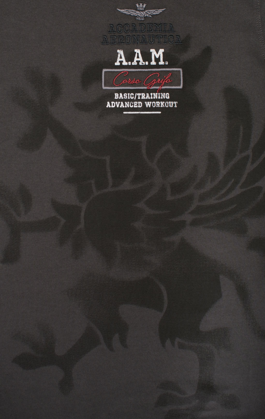 Футболка AERONAUTICA MILITARE GRIFO PRINT SS 24/TR anthracite grey (TS 2200) 