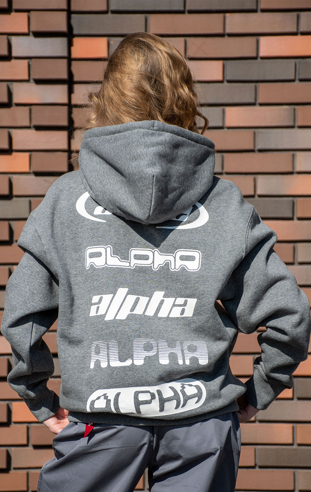Толстовка ALPHA INDUSTRIES ALPHA LOGOS HOODIE FW 24/25 medium charcoal heather 