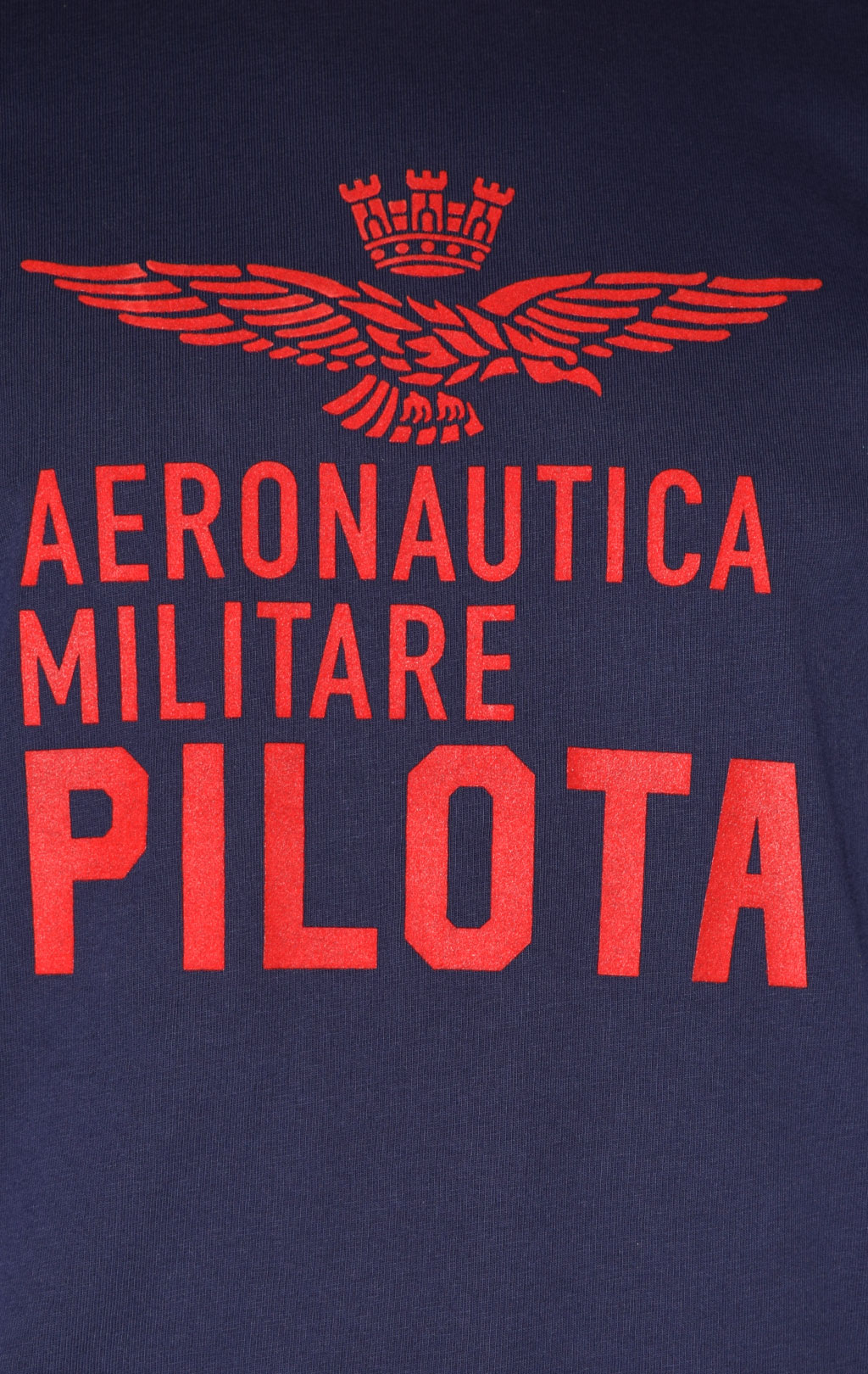 Футболка AERONAUTICA MILITARE big size FW 22/23/TR blue navy (TS 1990) 