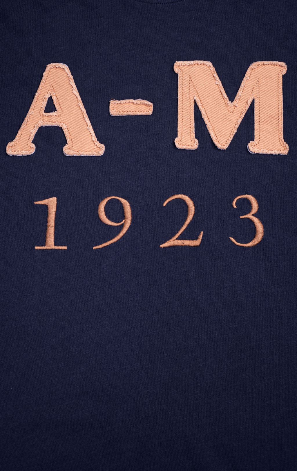 Футболка AERONAUTICA MILITARE big size SS 26/BD blue navy (TS 2526) 