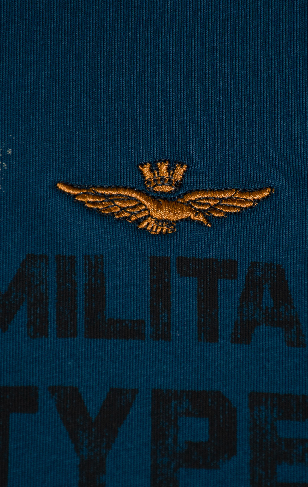 Футболка AERONAUTICA MILITARE FW 25/26/BD titan avio (TS 2479) 