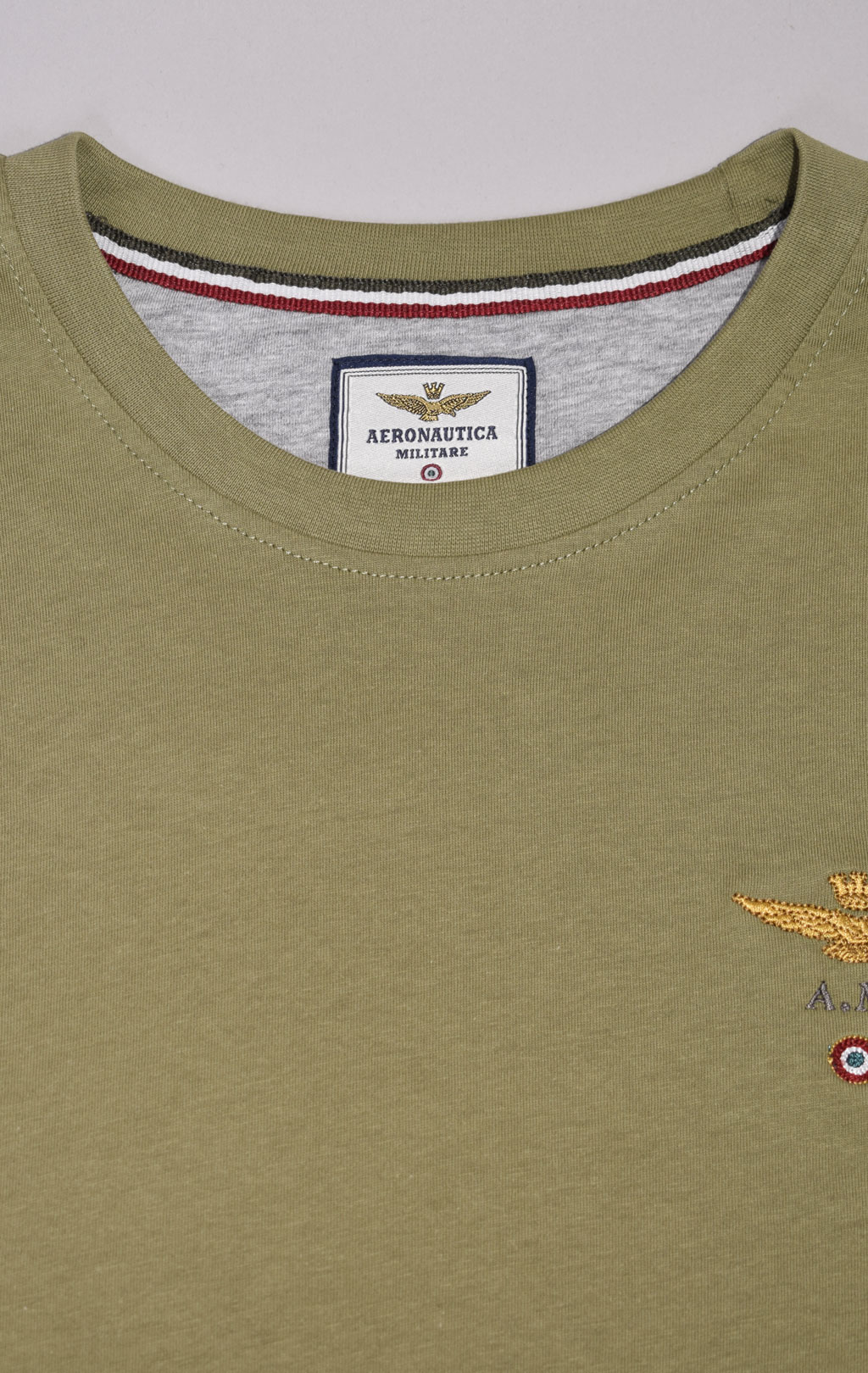 Футболка AERONAUTICA MILITARE FW 23/24/BD green (TS 1580) 