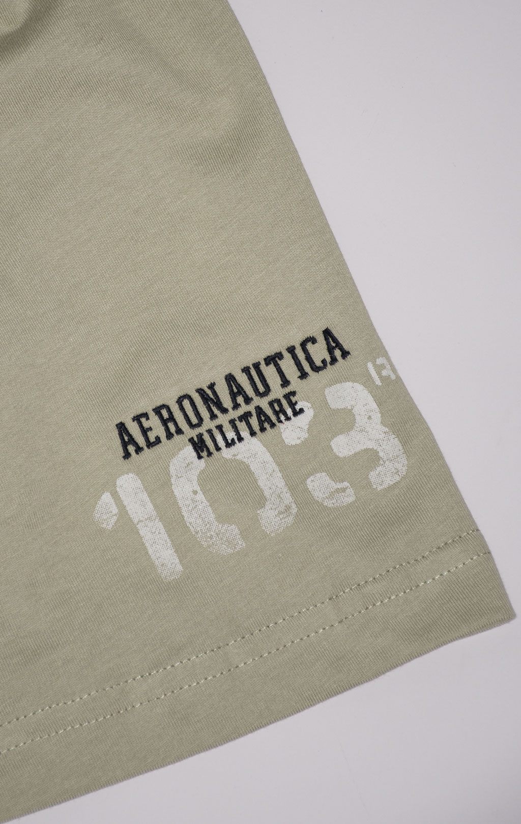 Футболка AERONAUTICA MILITARE INDIAN PRINT SS 24/BD sage green (TS 2214) 