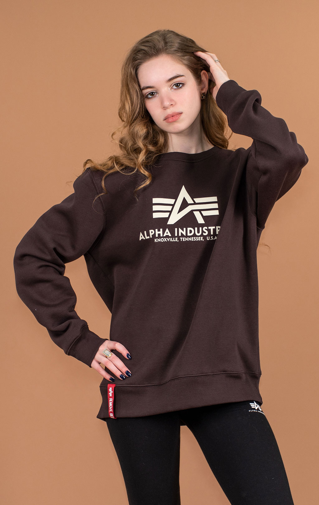 Свитшот ALPHA INDUSTRIES BASIC SWEATER hunter brown 
