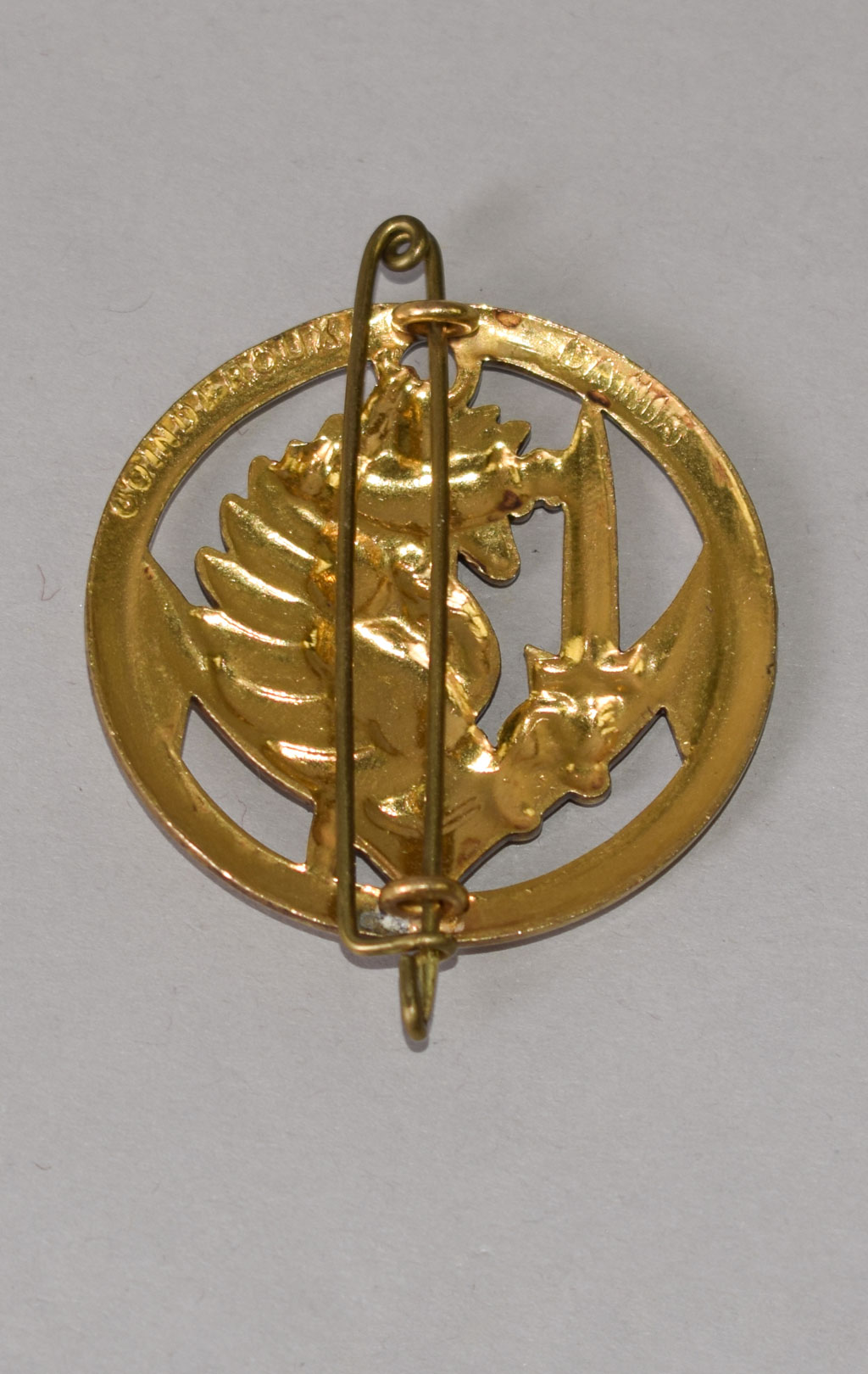 Знак беретный Морская Пехота ВМС gold Франция