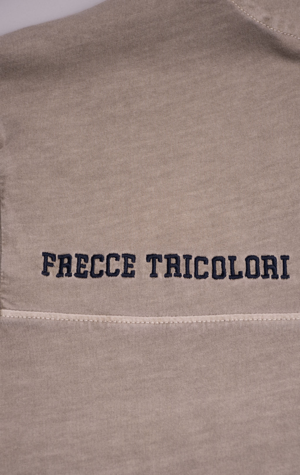 Футболка AERONAUTICA MILITARE SS 26/IN winter twig (TS 2519) 