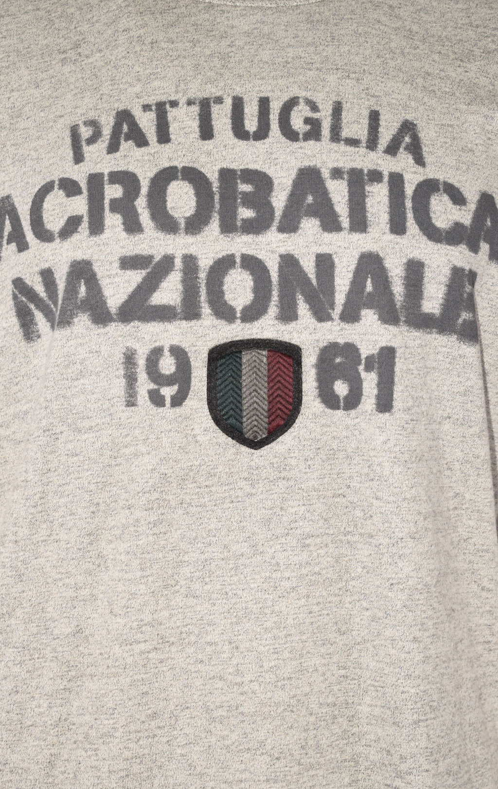 Футболка AERONAUTICA MILITARE FW 22/23/IN grigio mouline (TS 2019) 