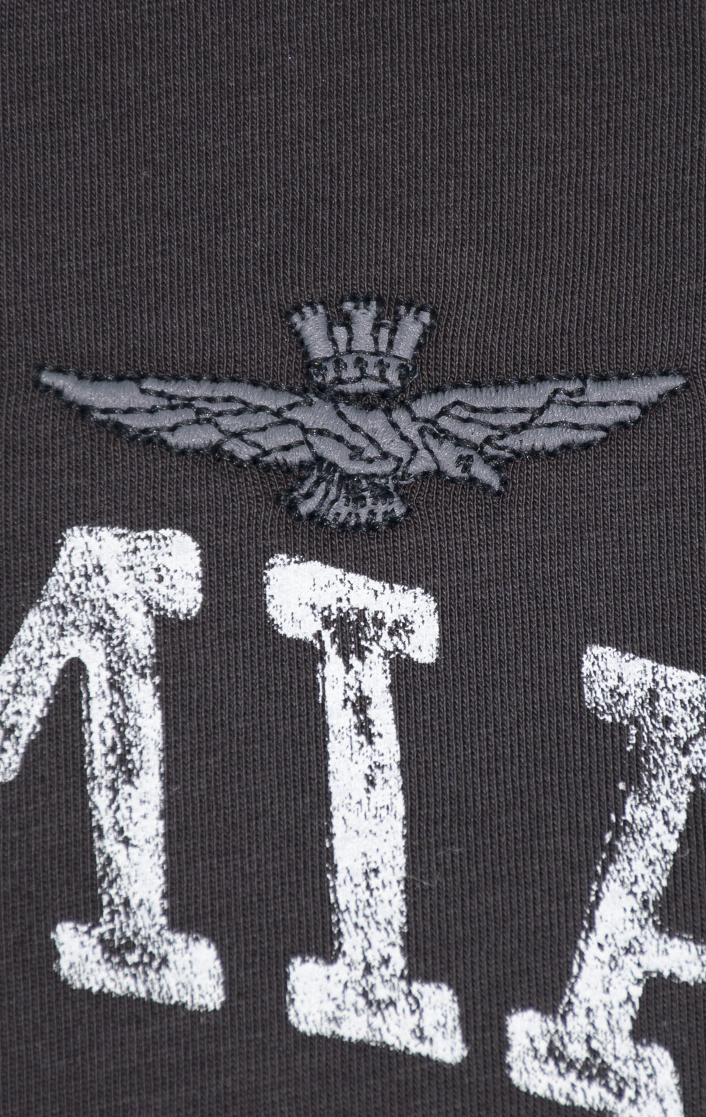 Футболка AERONAUTICA MILITARE SS 24/TR anthracite grey (TS 2203) 