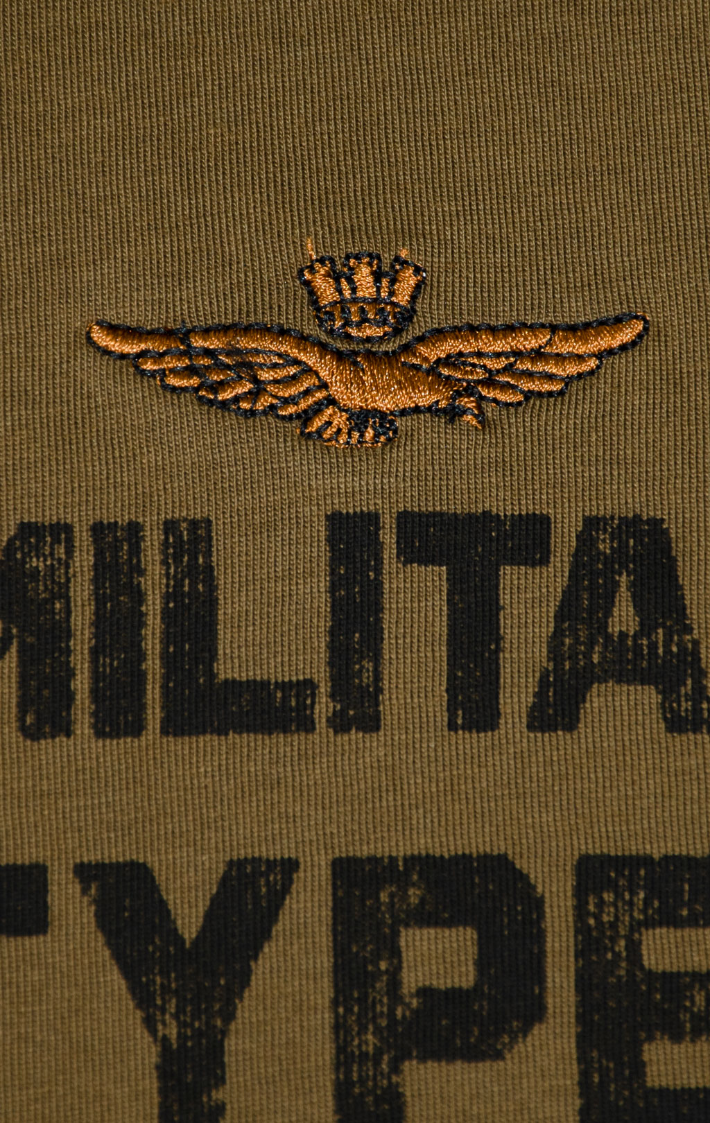 Футболка AERONAUTICA MILITARE FW 25/26/BD dark olive (TS 2479) 