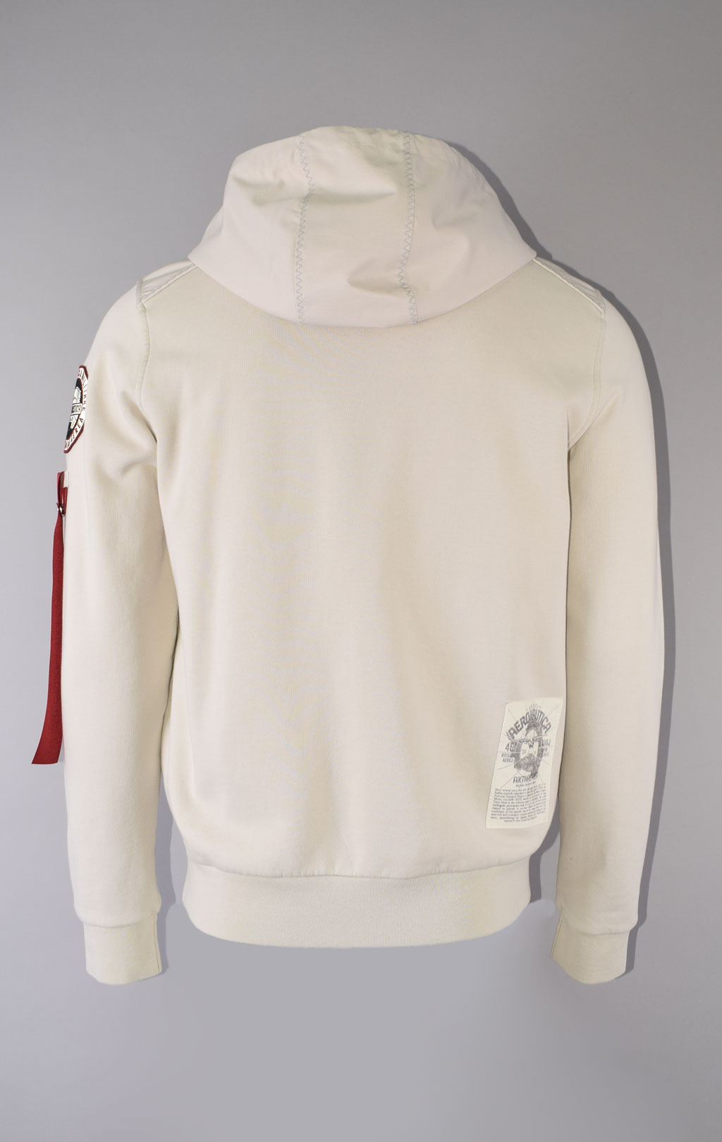 Толстовка с капюшоном AERONAUTICA MILITARE ANTARCTICA FW 23/24/TR ghiaccio (FE 1820) 