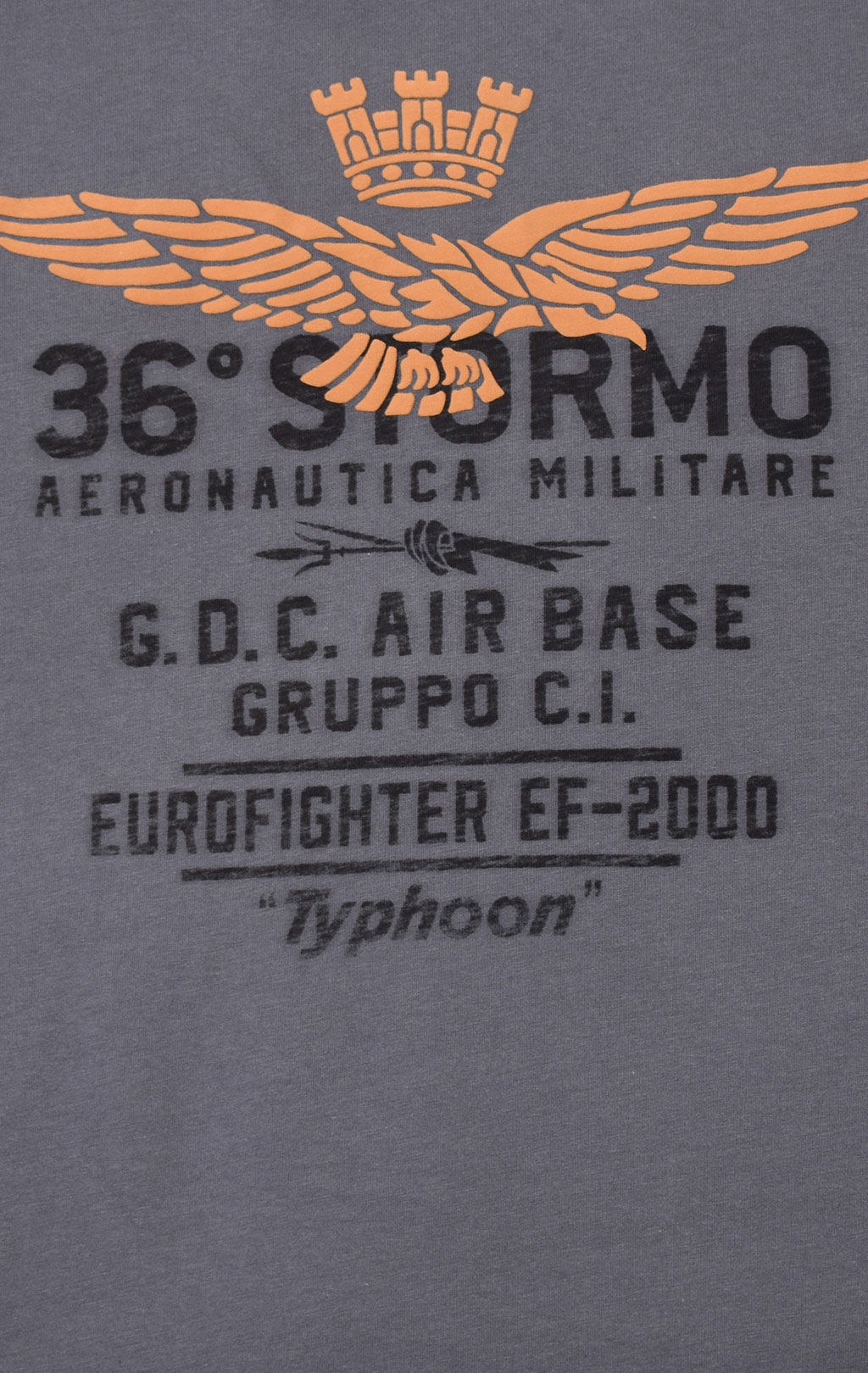 Футболка AERONAUTICA MILITARE SS 21/TR grigio medio (TS 1867) 