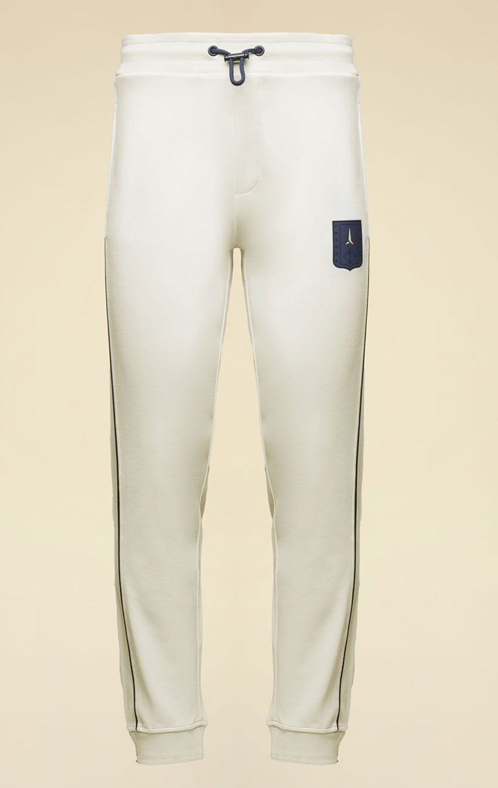 Брюки спортивные AERONAUTICA MILITARE FW 25/26/TR ghiaccio (PF 1004) 