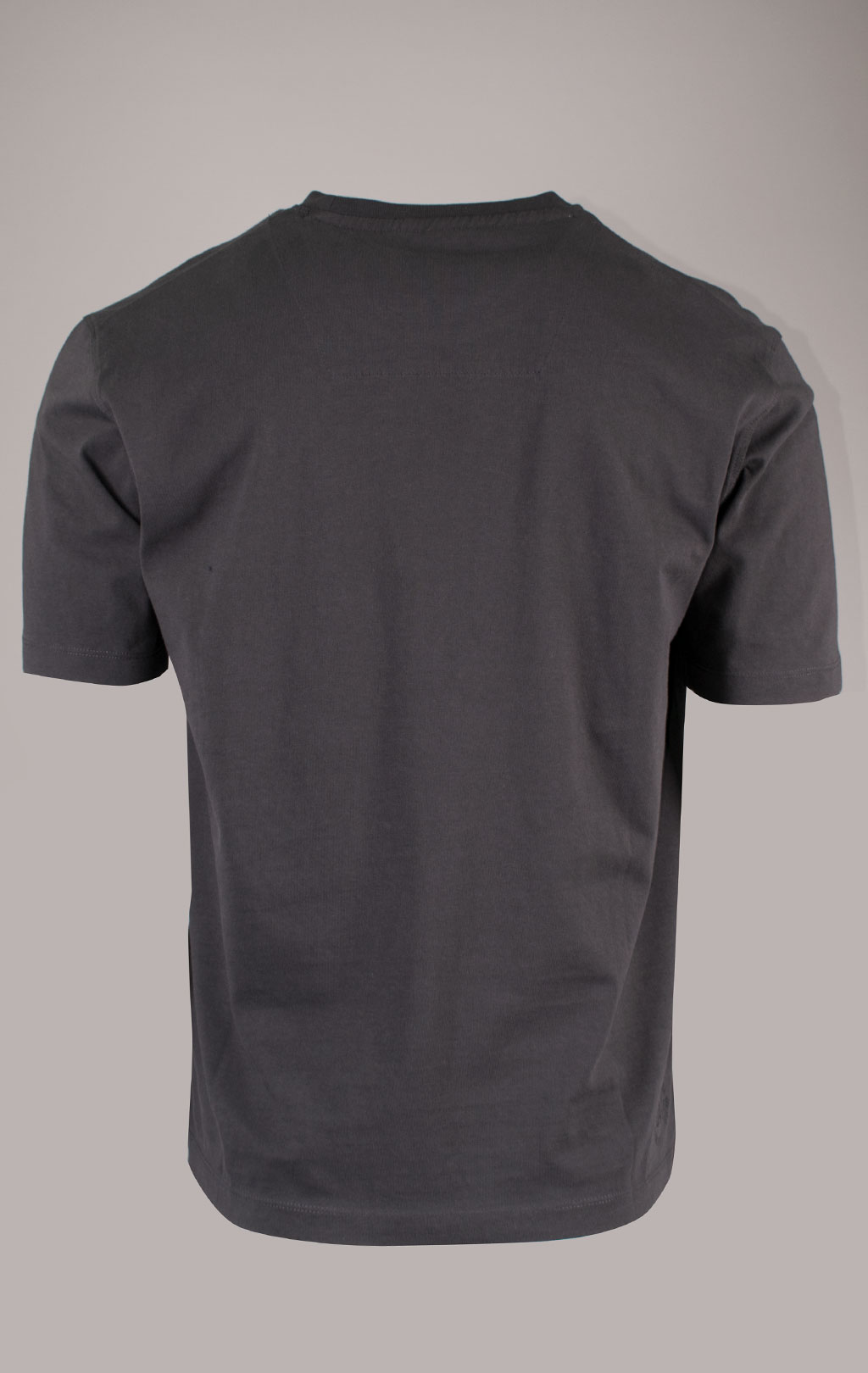 Футболка AERONAUTICA MILITARE GRIFO PRINT SS 24/TR anthracite grey (TS 2200) 