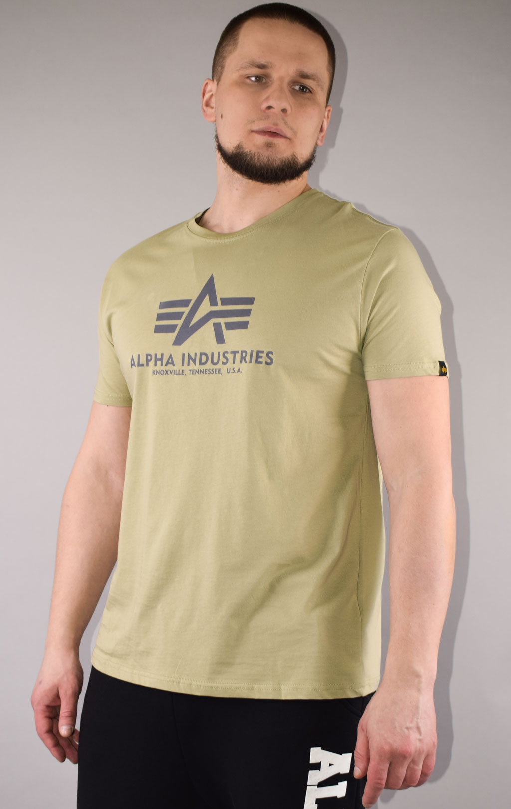 Футболка ALPHA INDUSTRIES BASIC T big size light olive 