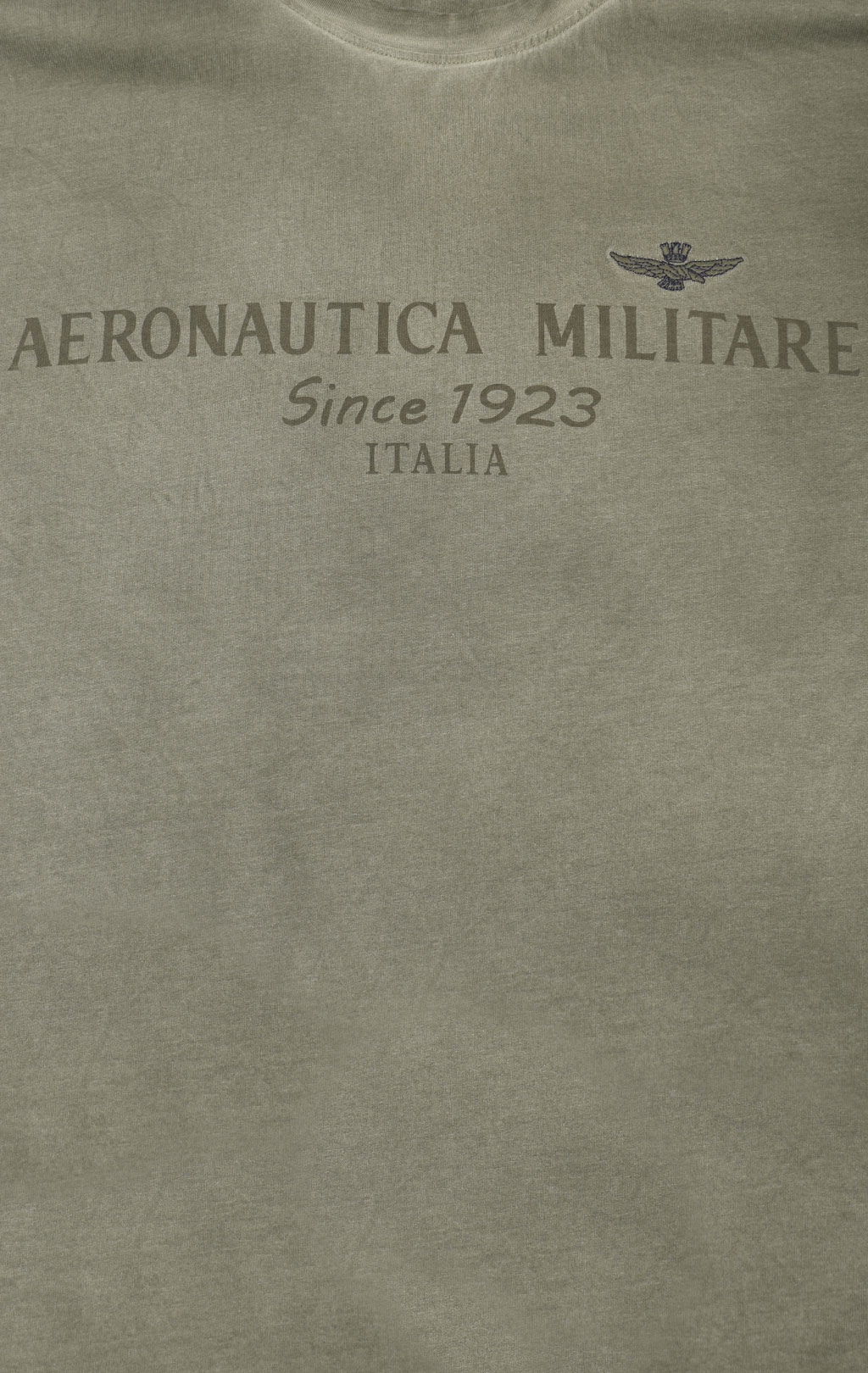 Футболка AERONAUTICA MILITARE big size SS 23/IN verde (TS 2073) 