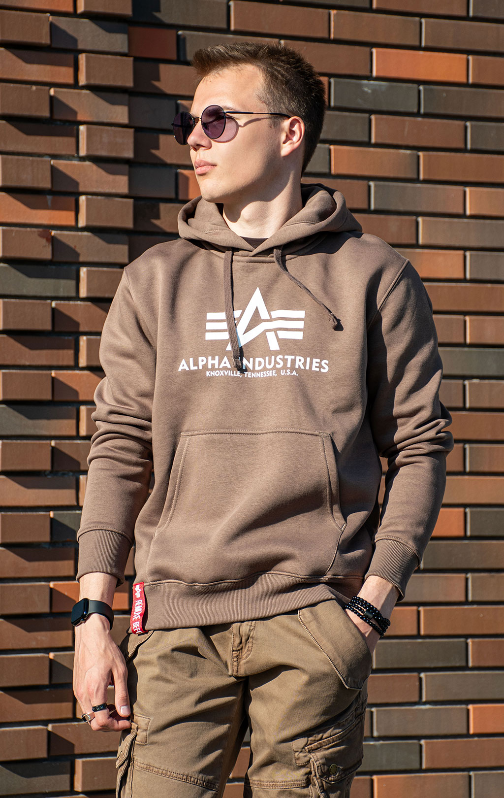 Толстовка ALPHA INDUSTRIES BASIC HOODY taupe 