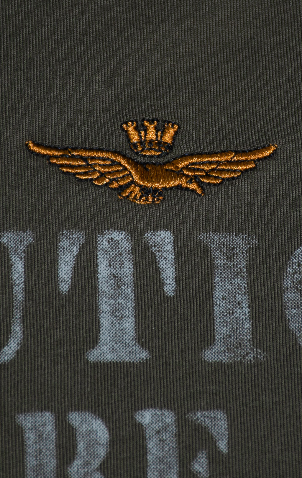 Лонгслив AERONAUTICA MILITARE FW 25/26/BD beluga grey (TS 2471) 