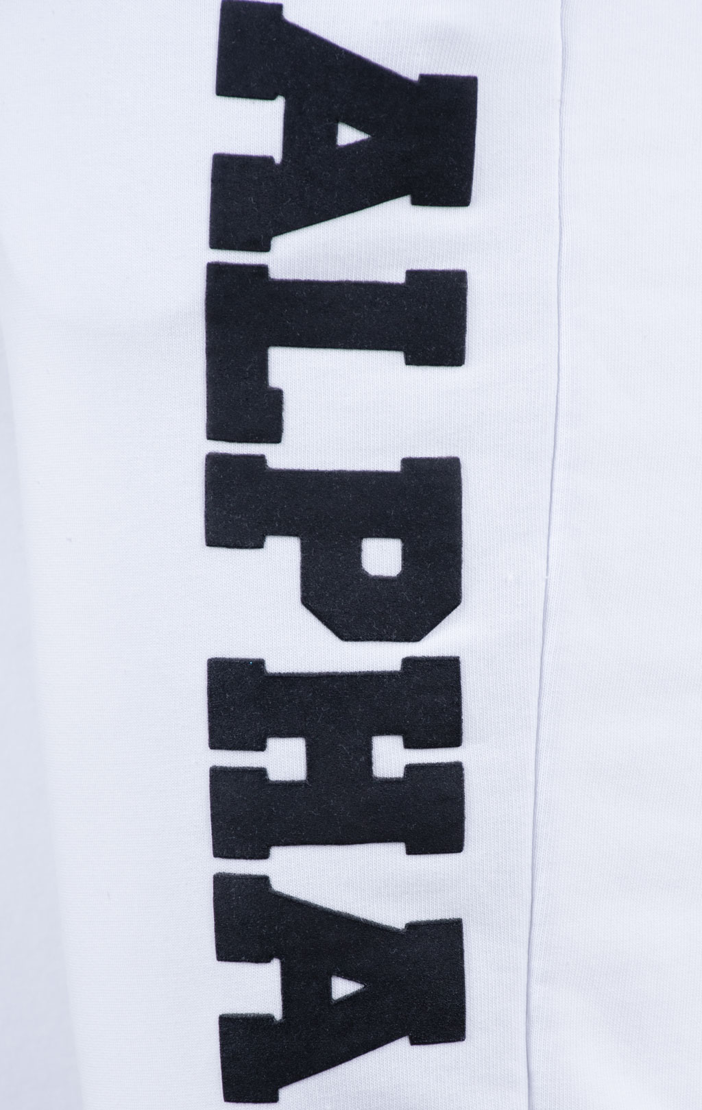 Брюки спортивные джоггеры ALPHA INDUSTRIES BIG LETTERS JOGGER white 