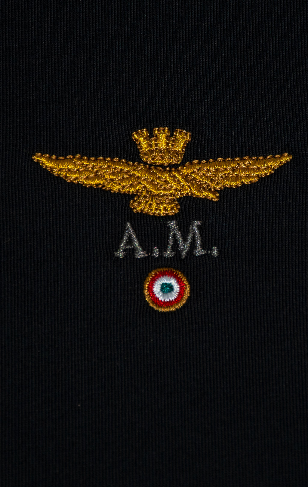 Лонгслив AERONAUTICA MILITARE FW 25/26/TR jet black (TS 2390) 