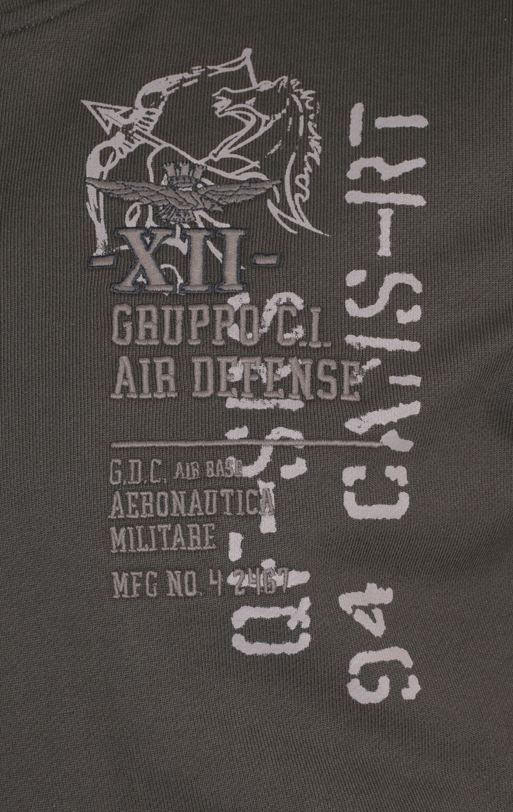 Толстовка с капюшоном AERONAUTICA MILITARE FW 24/25/TR dark musk (FE 1952) 